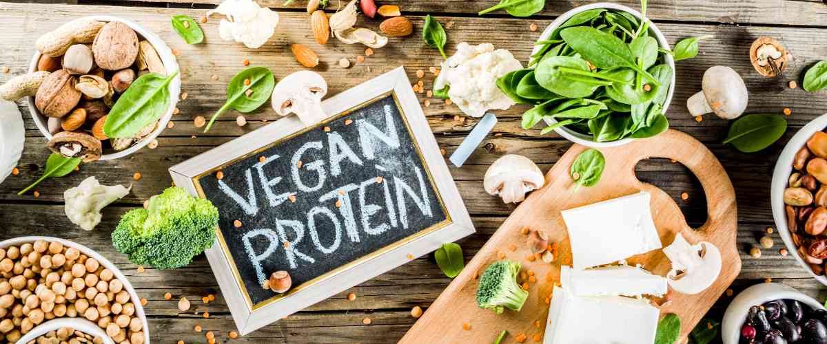 Top 11 Vegan Protein Sources To Add To Your Diet – Vegan Essentials