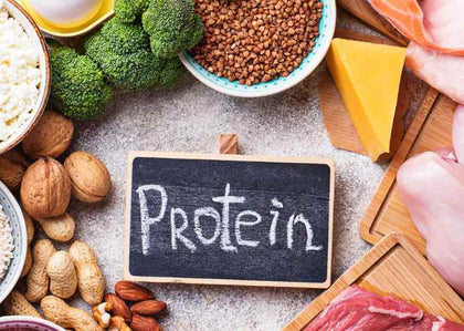 Plant Protein vs. Animal Protein: Which Is Healthier for You?