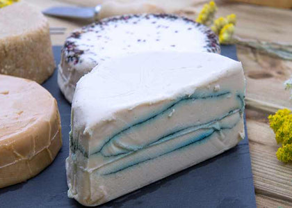 Comparing Vegan Cheese Brands: Which Ones Are Worth Trying?