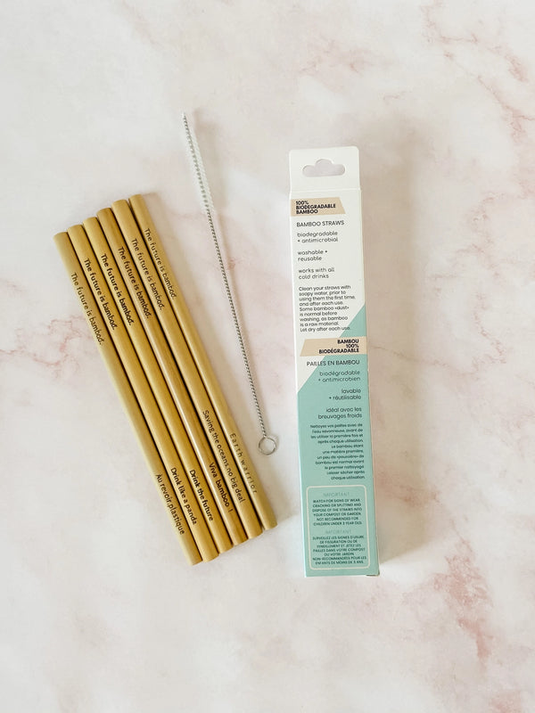 Bamboo Straws, Pack of 6