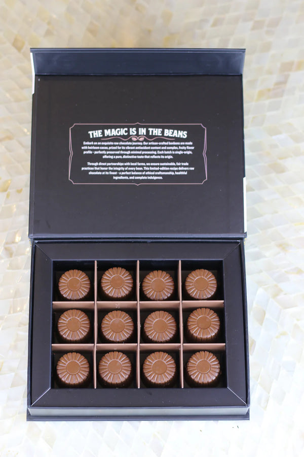 Rawmio - Premium Chocolate Bonbons - Coconut Milk Chocolate, 12 Count