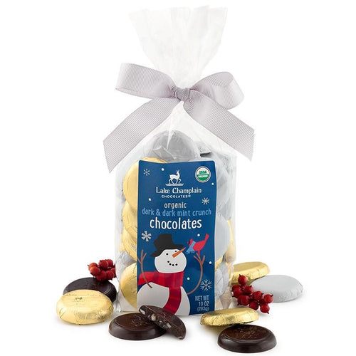 Lake Champlain - Winter Chocolate Coins Bag, 10oz