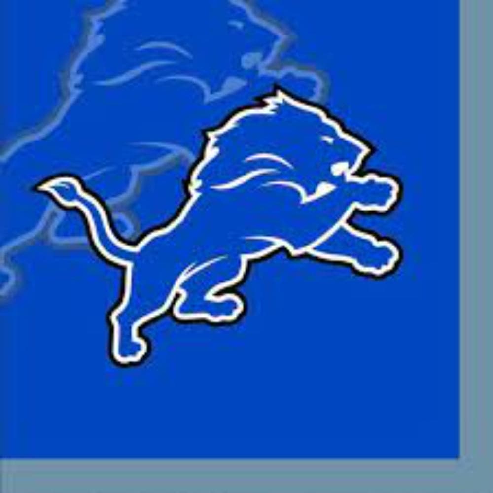 Creative Converting - Napkin Lunch Detroit Lion