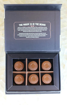 Rawmio - Premium Chocolate Bonbons - Coconut Milk Chocolate, 6 Count