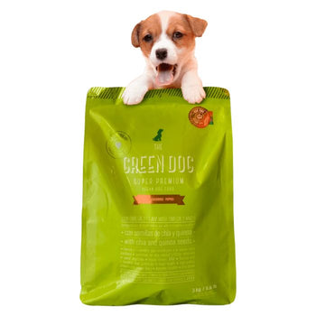 Green Dog - Puppy | Multiple Sizes