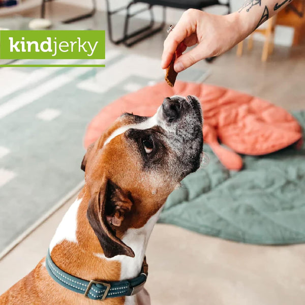 V-Dog - Kind Jerky, 8oz