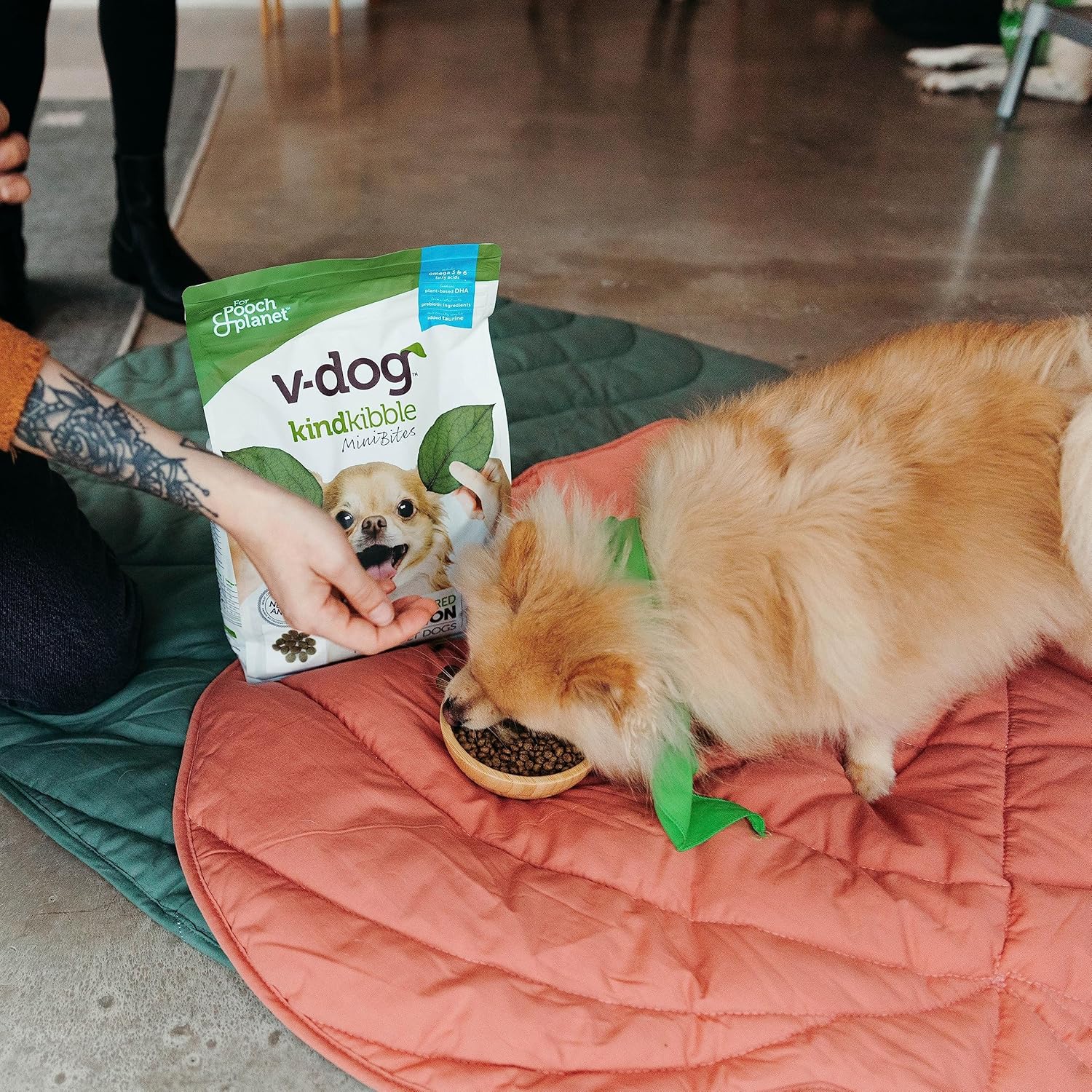 V-Dog - Kind Kibble - Mini Bites, 4.5lb – Vegan Essentials