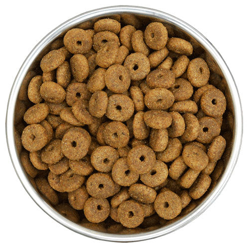 Benevo - Adult Plant-Based Dog Food | Multiple Size