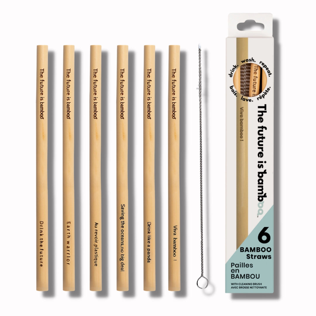 Bamboo Straws, Pack of 6