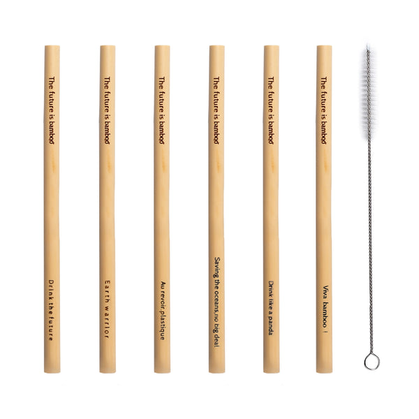 Bamboo Straws, Pack of 6