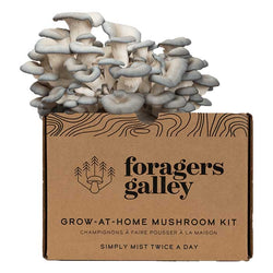 Foragers Galley - Grow-At-Home Mushroom Kit | Multiple Options