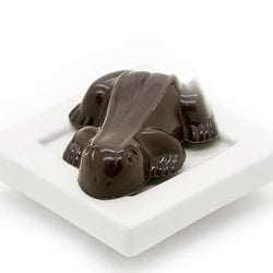 Enchanted Frog Organic Caramel Filled Chocolate by Divine Treasures