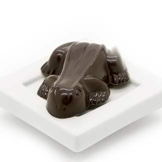Divine Treasures - Enchanted Frog Organic Caramel Filled Chocolate